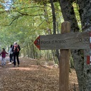 Forca D’Acero Ottobre 2023